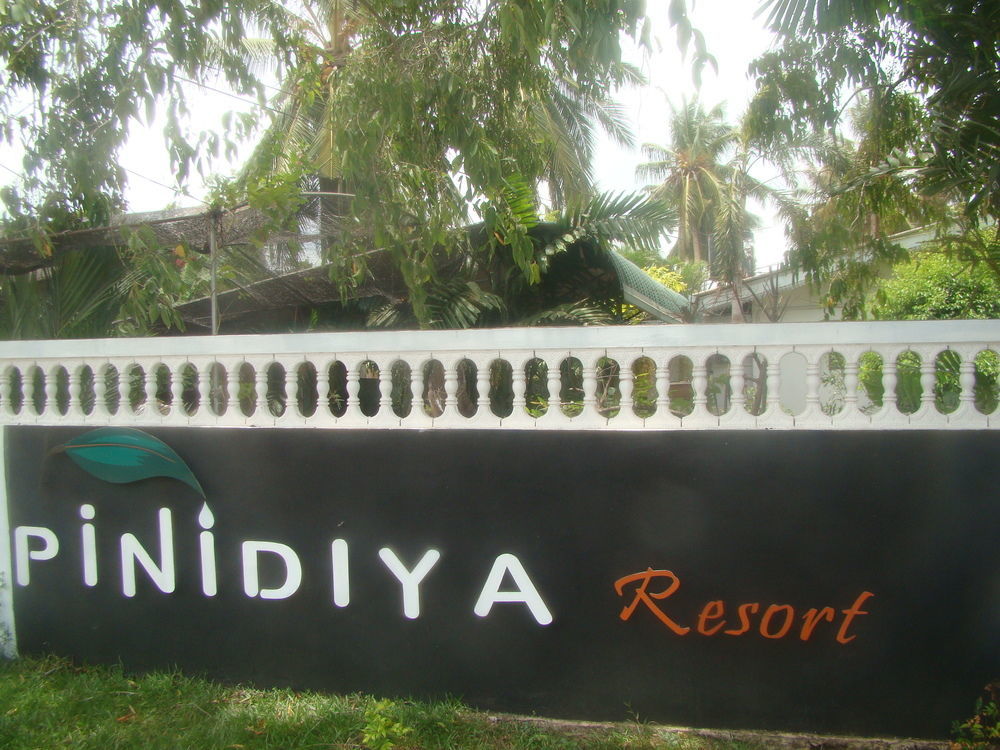 Pinidiya Resort Анурадхапура Экстерьер фото